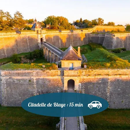 Iris Des Marais - Clim & Parking - Chelona'loc Braud-et-Saint-Louis