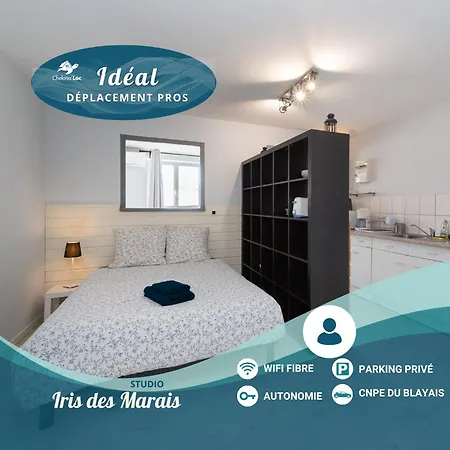 Iris Des Marais - Clim & Parking - Chelona'loc *